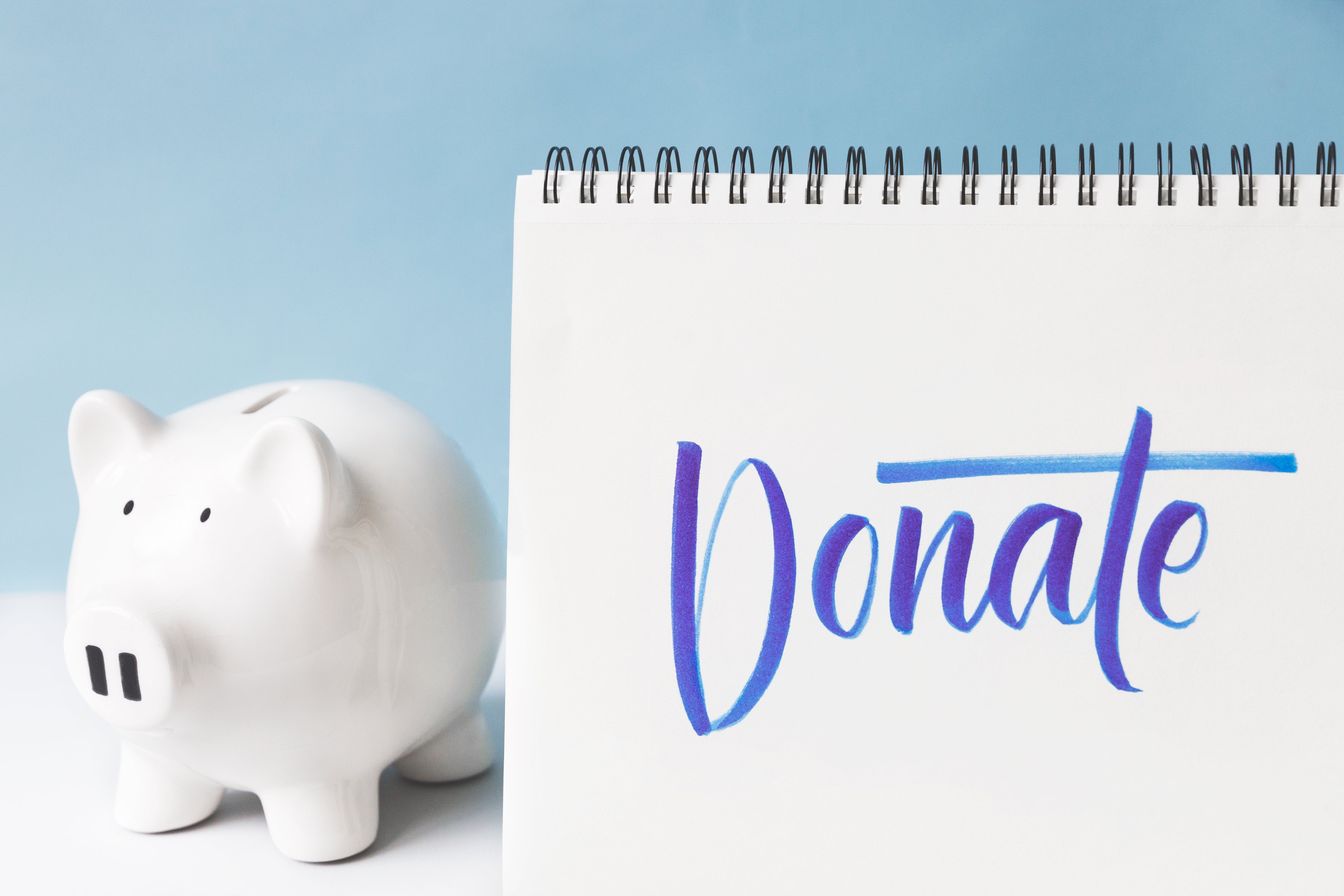donate-written-in-cursive-next-to-a-piggy-bank.jpg