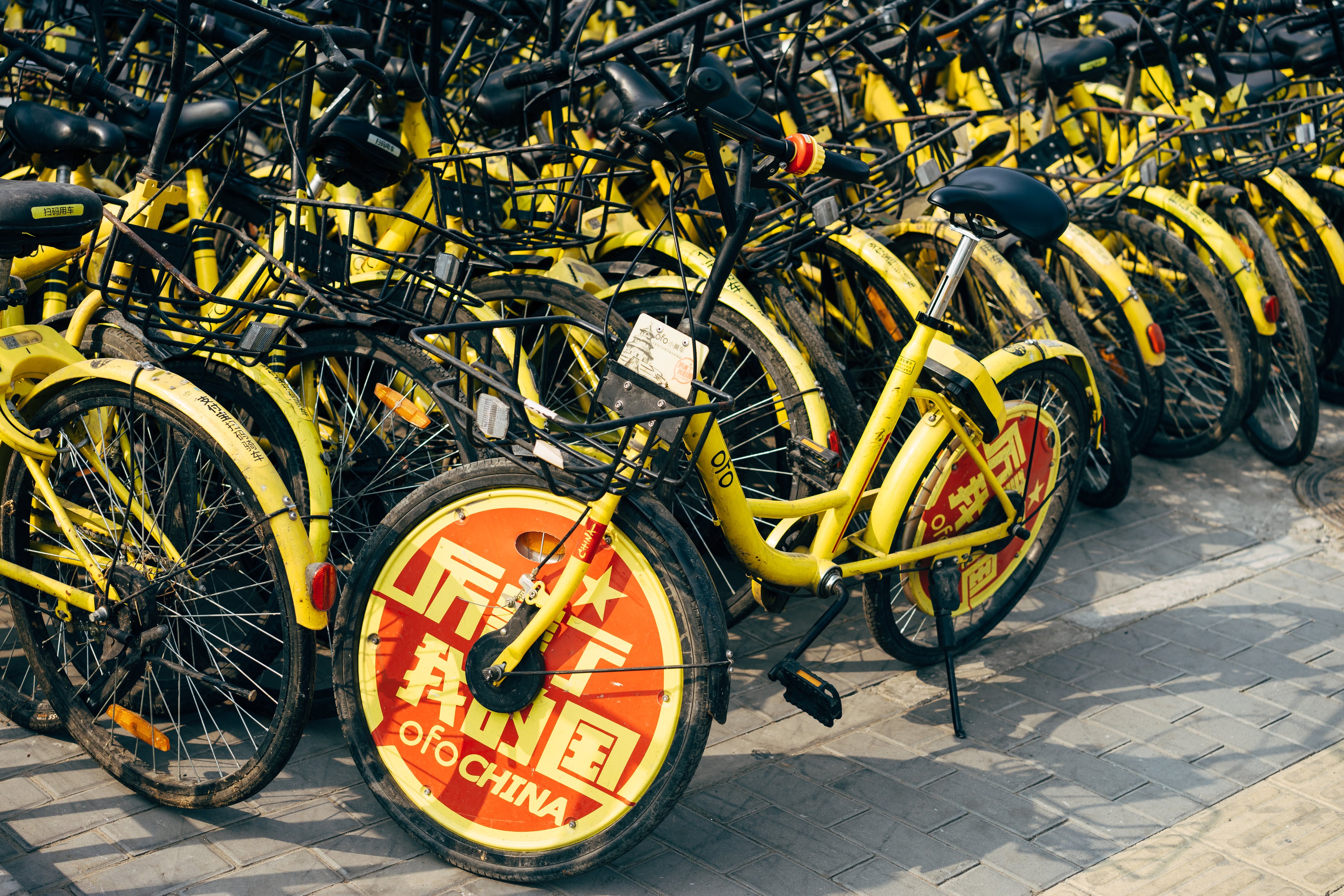 tangled-community-bikes.jpg